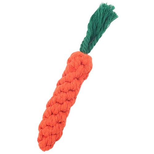 Pet chew toys - chew, dog