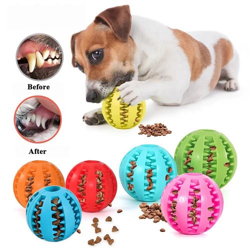 Puppy toys dog toy - dog,