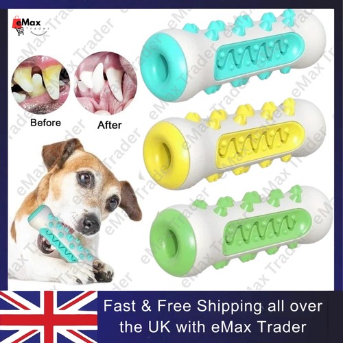 Dog toy bone - bone, cleaning