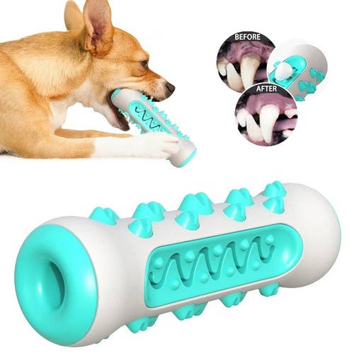 Dog toy bone - dog, teeth