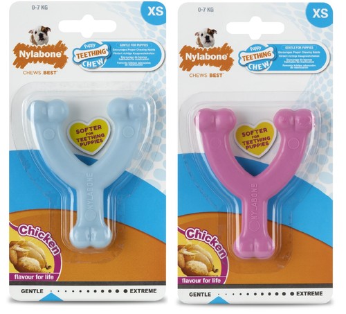 Nylabone puppy dog chew - nylabone,