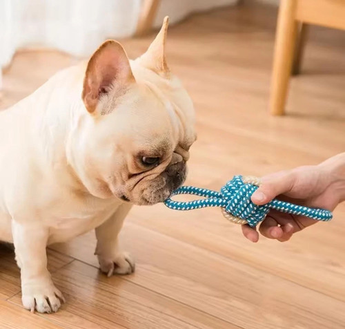 Dog rope ball - rope,