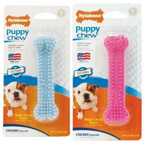 Nylabone puppy teething - nylabone,