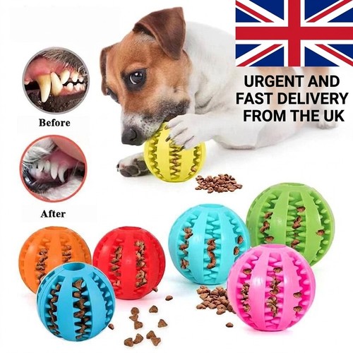 Puppy toys dog - toy, treat