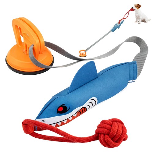 Interactive shark dog tug - interactive, toy