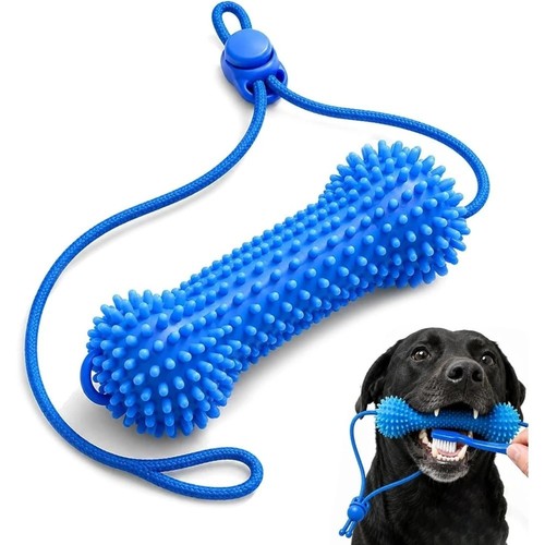 Dog dental chew toy - toy, teeth