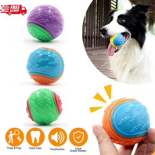 Squeaky dog ball toy - dog, chew