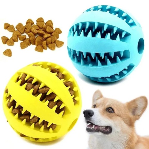 Puppy toys dog - toys, treat