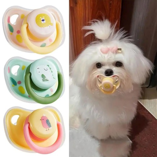 Silicone dog pacifier - dog, toy