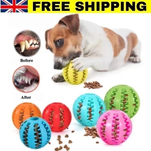 Puppy toys dog - food, treat