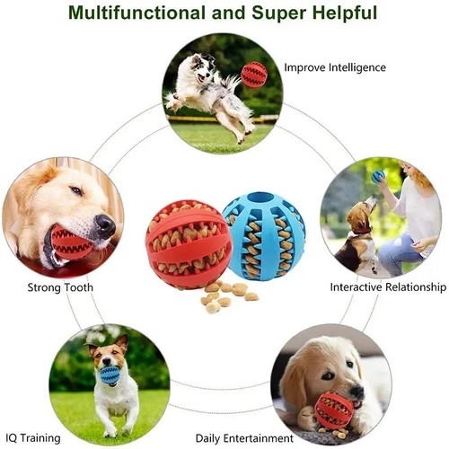 Puppy toys dog toy food - toy, treat