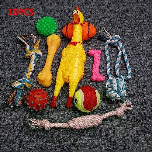 10pc pet dog toys - pet,