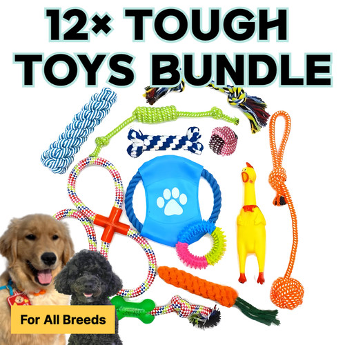 12pc tough dog toys set - dog, –
