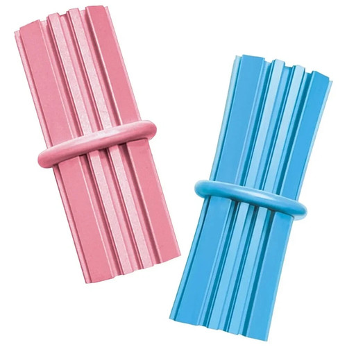 Kong puppy teething - puppy, dog
