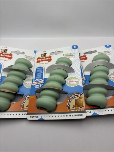 Nylabone puppy teething - teething, chew
