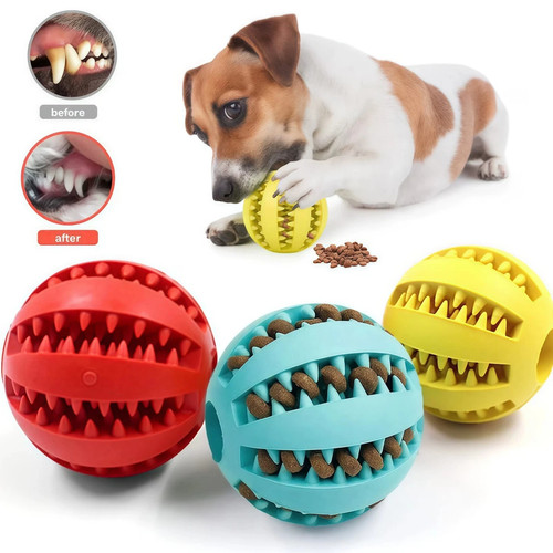 Puppy toys dog - dog, food