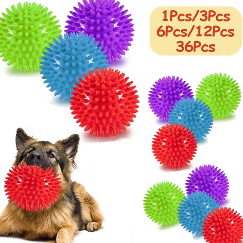 Pack dog squeaky - pack,
