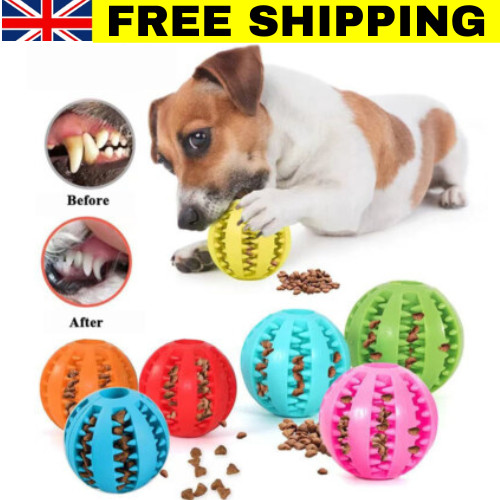 Puppy toys dog toy - toys, food