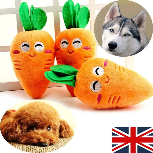 Pet dog chew - pet, toy