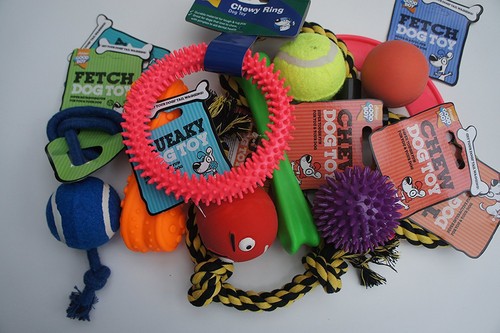 Assorted pet dog - x,