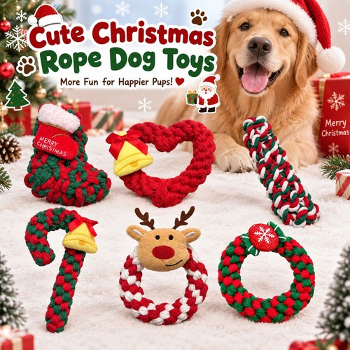 6pcs dog ring - ring, toy