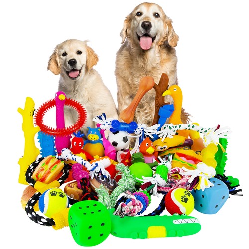 Assorted dog puppy pet - dog,