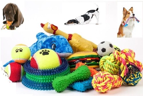 Assorted dog puppy pet - dog, toy