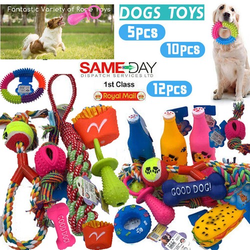 Puppy pet toys - puppy,