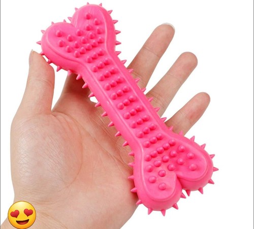 Dog puppy chew - dog,