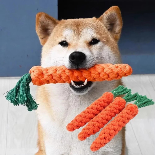 Carrot dog chew toy - toy, cotton
