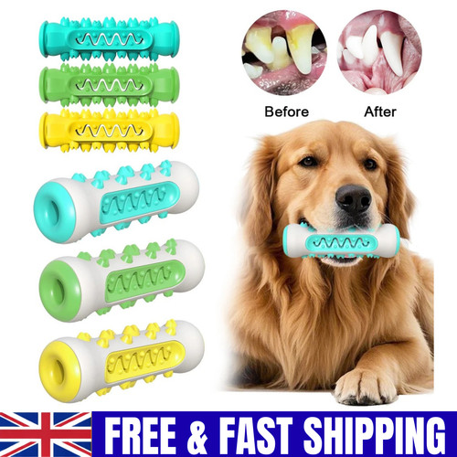 Teeth cleaning dog - dog, toy