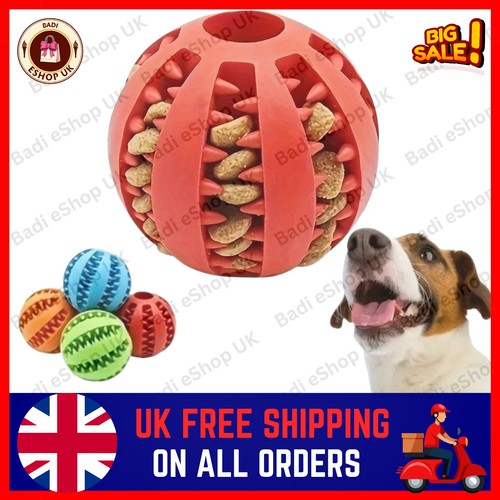 Puppy toys dog - toys, treat