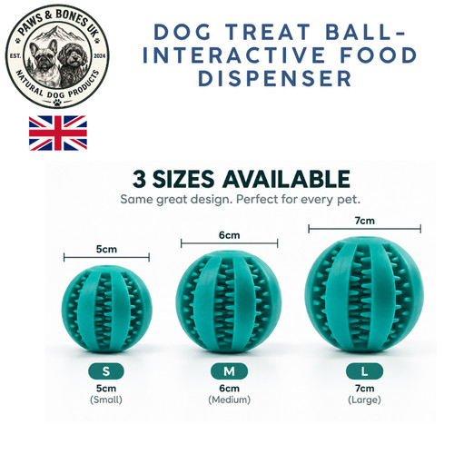 Interactive dog dental - interactive, treat