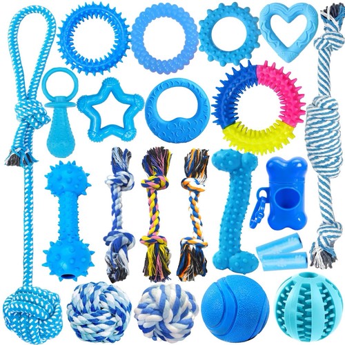 X22 assorted pet - x22,
