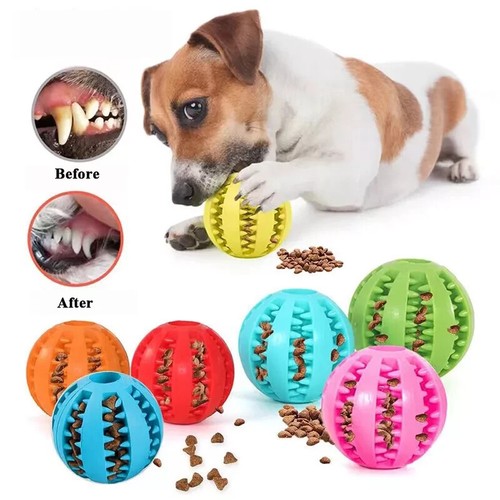 Puppy toys dog toy - food, treat