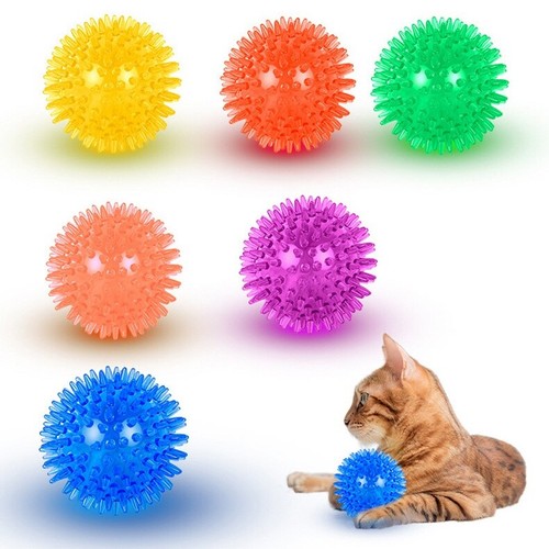 Pack dog squeaky spiky - 6,