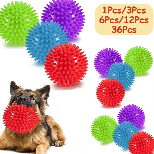 Pack dog squeaky - dog, balls